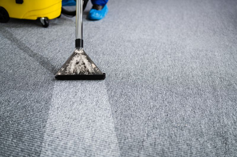 Increase Your Carpet Service Business with an AI Driven, Targeted Website