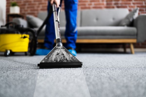 Residential Carpet Cleaning in Raleigh