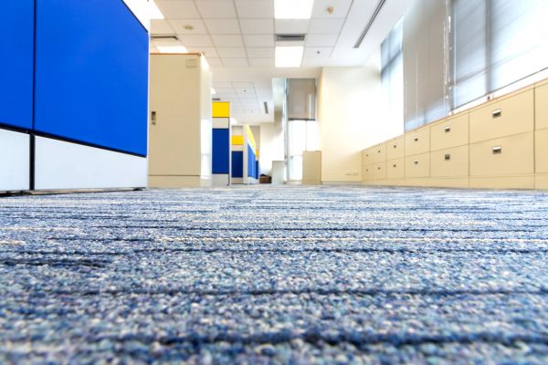 Business Carpet Cleaning in Raleigh